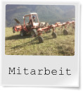 Mitarbeit