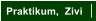 Praktikum,  Zivi