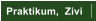 Praktikum,  Zivi